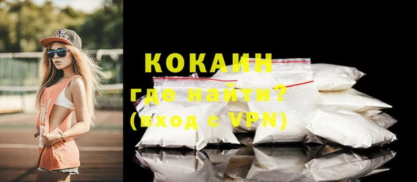 PSILOCYBIN Верхний Тагил