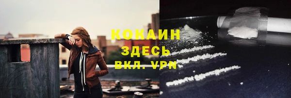 PSILOCYBIN Верхний Тагил