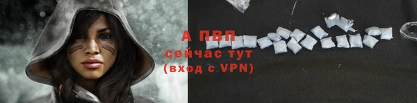 PSILOCYBIN Верхний Тагил