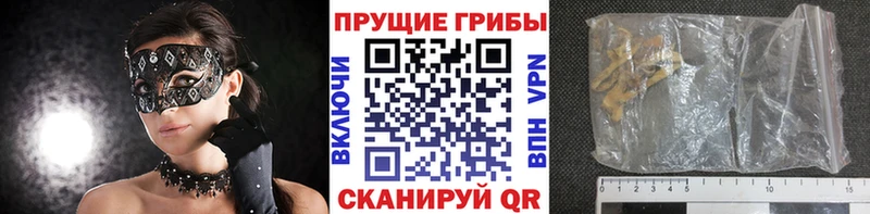 сколько стоит  Кадников  Галлюциногенные грибы мухоморы 